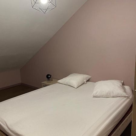 Appartement 14 Couchages Vallee Du Gresivaudan La Buissiere  エクステリア 写真