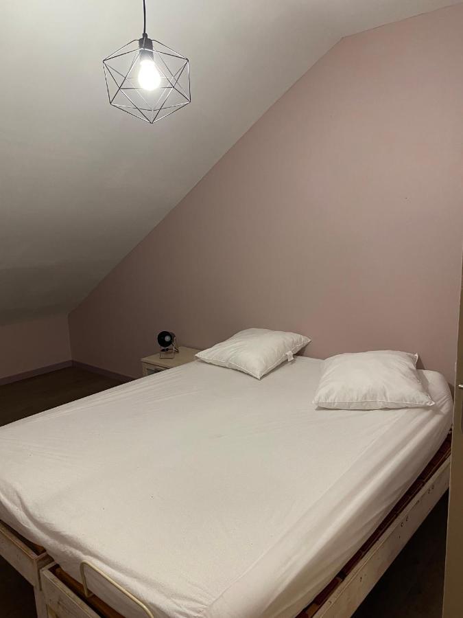Appartement 14 Couchages Vallee Du Gresivaudan La Buissiere  エクステリア 写真