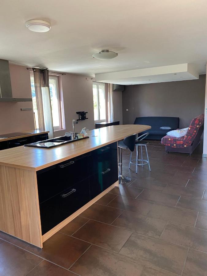 Appartement 14 Couchages Vallee Du Gresivaudan La Buissiere  エクステリア 写真